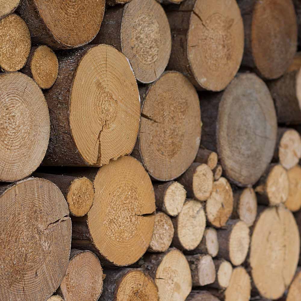 Sale of heating wood near Morlaix in the department of Finistère