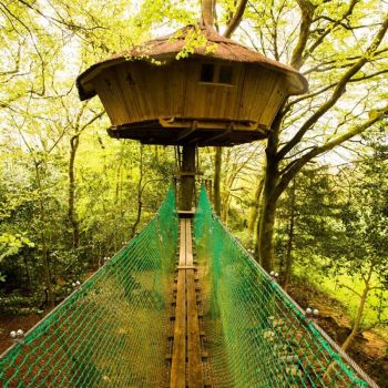 Ben Nevis tree house cabin in Brittany