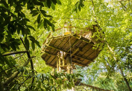 Ben Nevis tree house cabin in Brittany