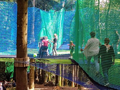 Treetop Nets Parcabout® to jump among the trees in Brittany