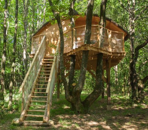 Tinto tree house cabin in Brittany