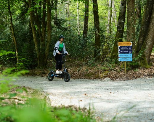 Cross-country e-scooter