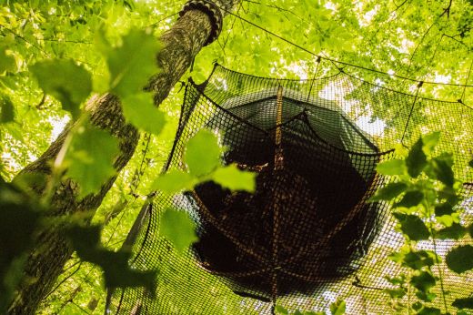 Skye Nid'Île tree house dome in Brittany