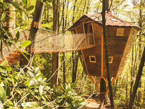 Ben Lomond tree house cabin in Brittany