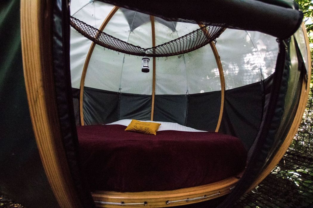 Night in a tree dome in Finistere - Brittany